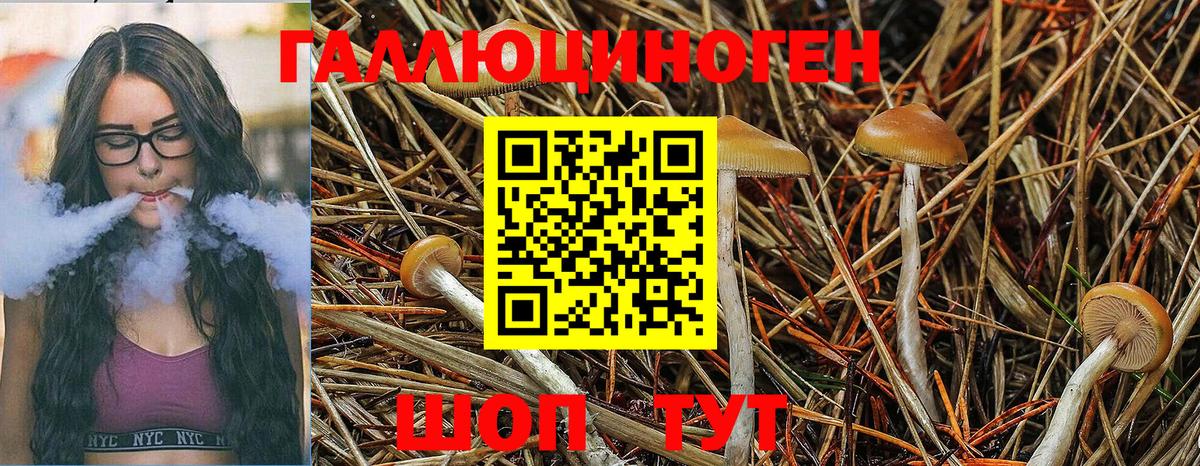 Кирово-Чепецк  Галлюциногенные грибы ЛСД  Вход с VPN 