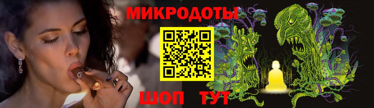 Галлюциногенные грибы Psilocybine cubensis Кирово-Чепецк